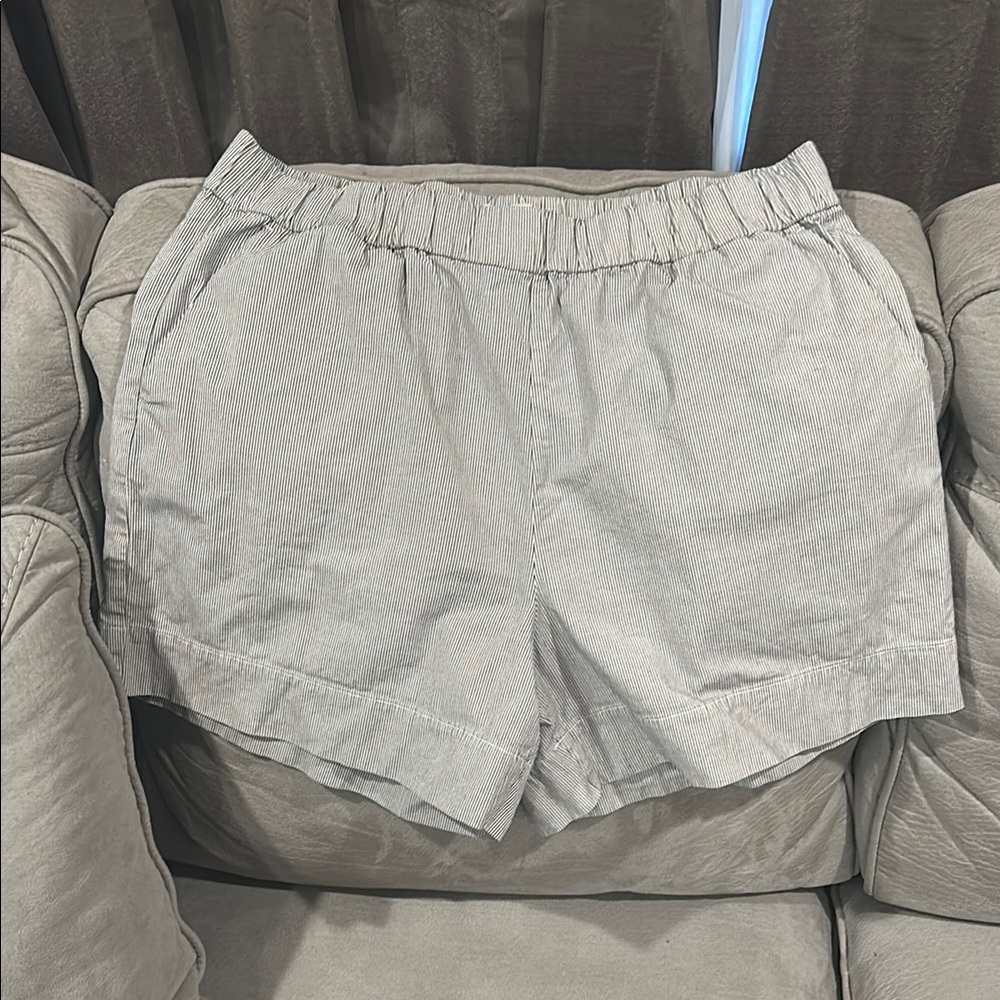 Everlane Gray High Waist Shorts